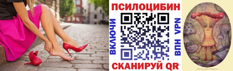Псилоцибиновые грибы Psilocybe  даркнет сайт  mega рабочий сайт  Красавино 